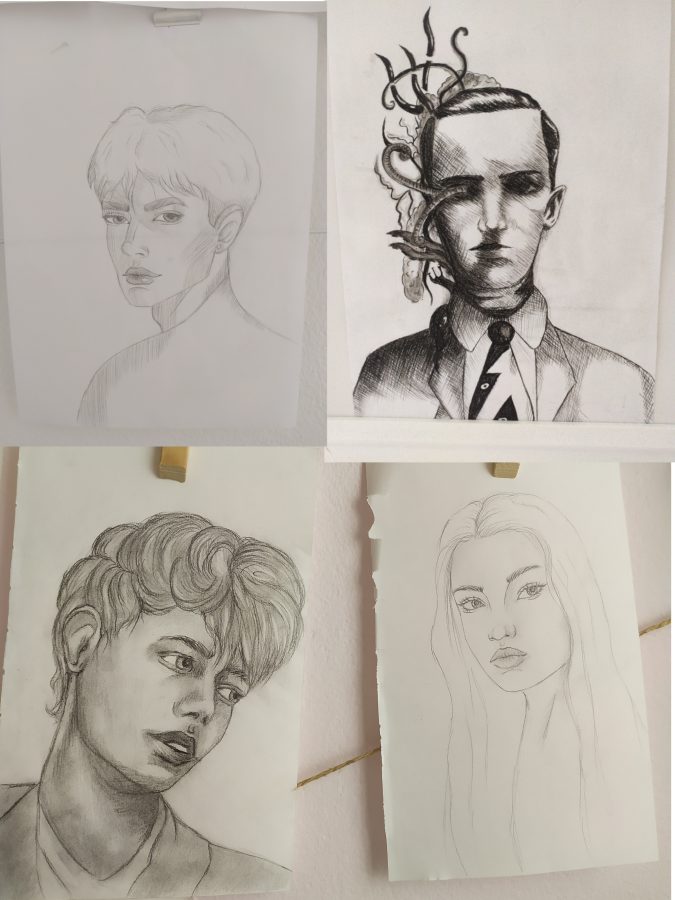 I will do professional sketch and illustration