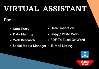 I will do data entry, copy-paste, web research, excel data entry