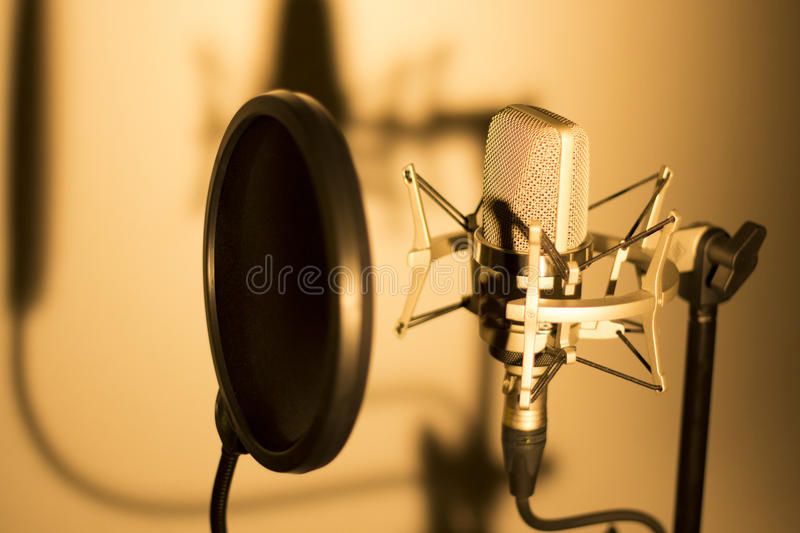 I will do record a maximum of 1000 words VOICEOVER for your project