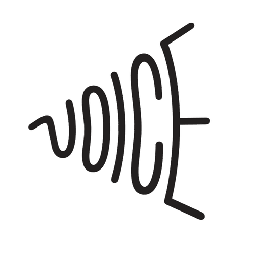 VoiceOver Expert Just For You BUY NOW! 