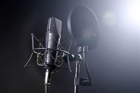 Rapid Text to Speech conversion in many accent in professional voice