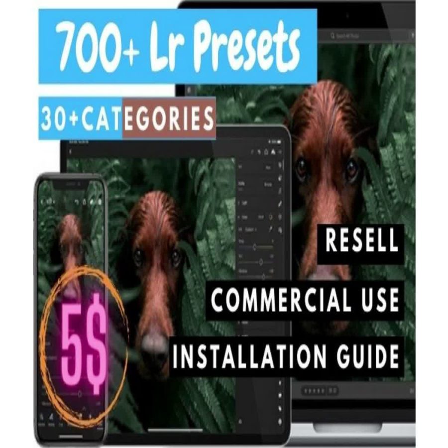 I will give you 700+ Lightroom preset pack in 30+ categories