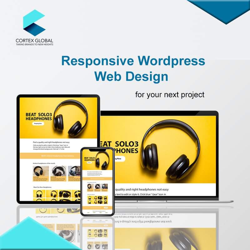 Full Stack Web/App Development For Any Kind Of Business Needs With 6 Months SEO
