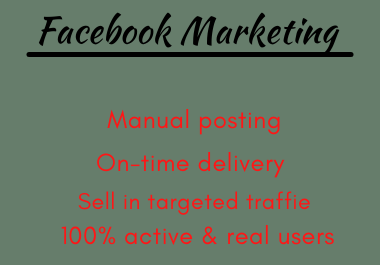 I will do manage Facebook advertising, and FB ads campaign