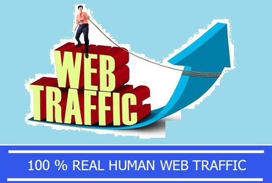 UNLIMITED HUMAN TRAFFIC BY Google Twitter Youtube and many more to web site for 30 days......