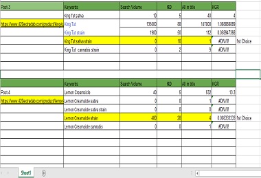 I will do SEO friendly Keyword Research, LSI keyword & SEO Audit Report