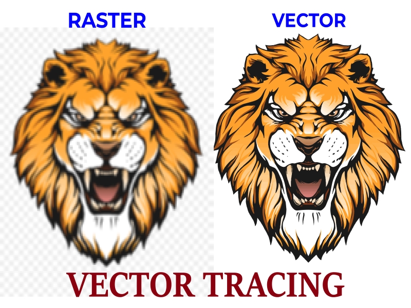 I will do vector tracing, convert your image or logo to vector