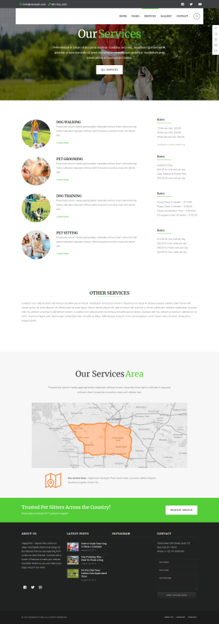 I will design your divi wordpress website by divi theme or divi builder