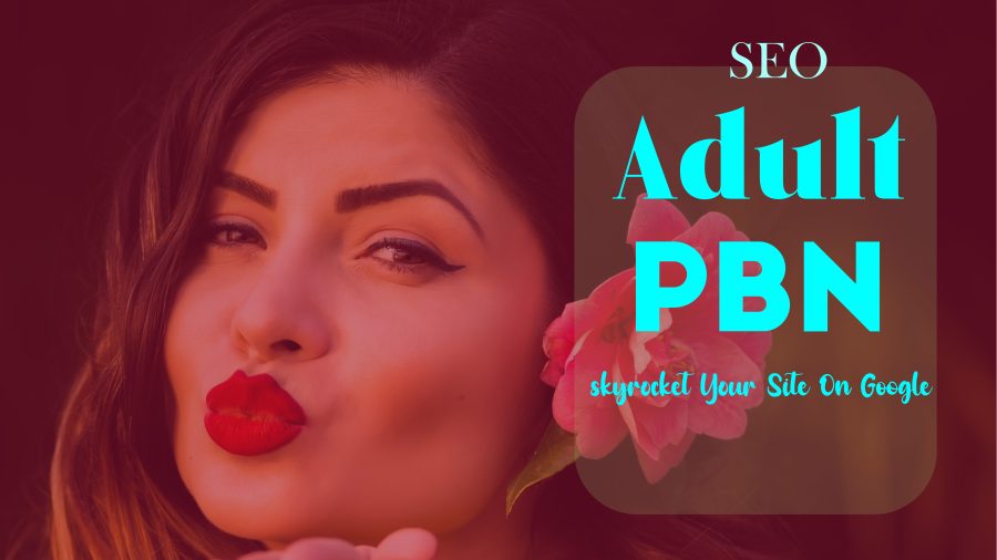  Adult PBN Rank Your Porn Site Now UPTO DA PA Plus Homepage PBN Backlinks