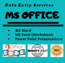 I will data entry typing work in ms excel ms word etc