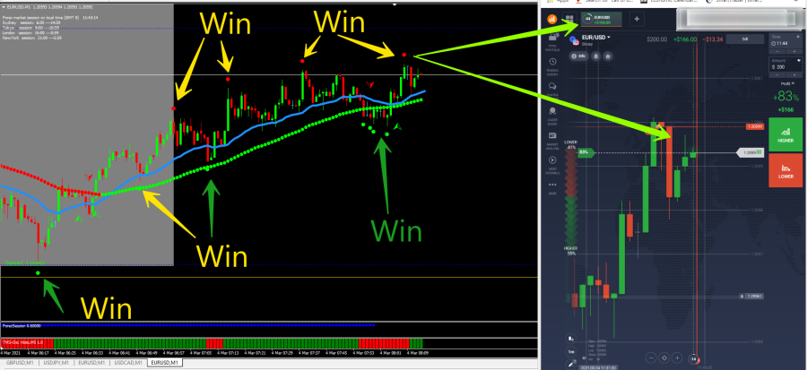 Daily Price Action 100% Profitable 5m Binary Indicator Pack 