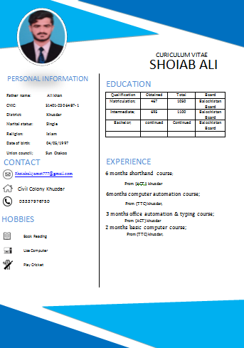 Professional Resume Maker and rewrite and designer for your Resume cv for your dream job 
