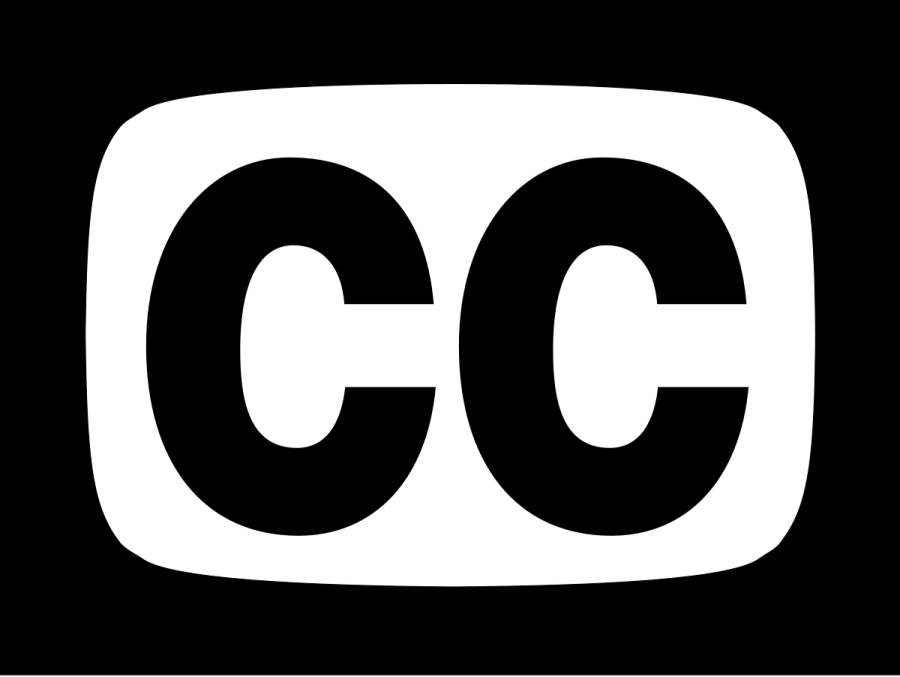i will add subtitles to video in english, vietnamese or chinese 