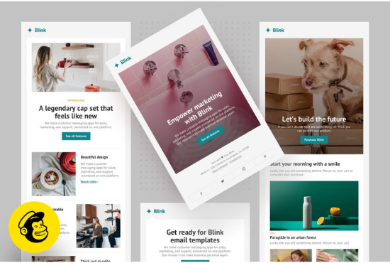I will design your MailChimp newsletter template seller