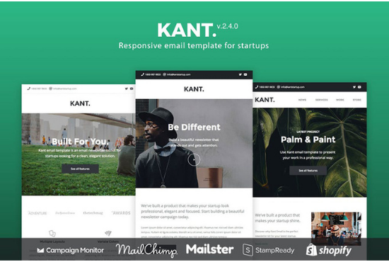 I will design your MailChimp newsletter template seller