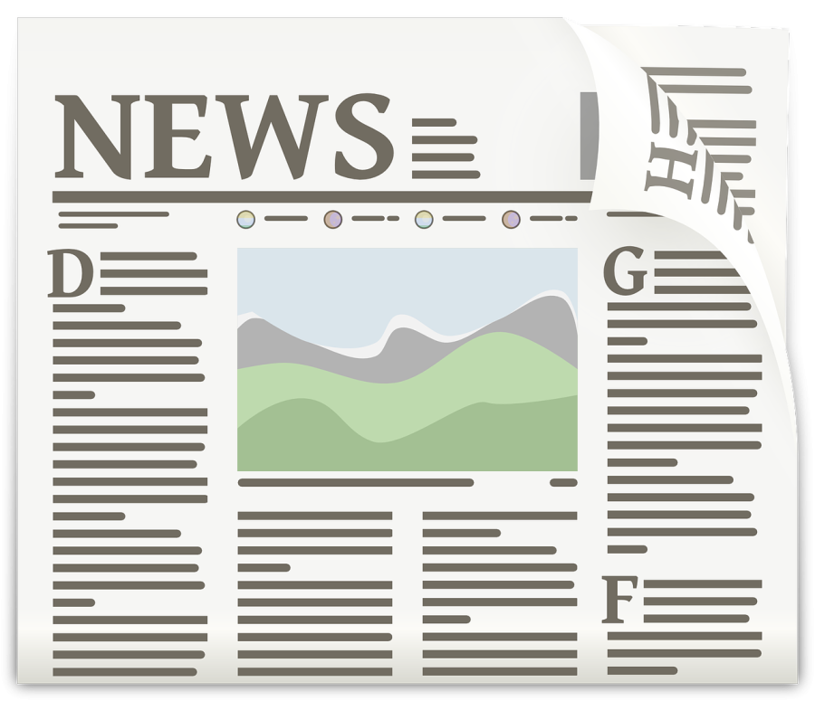 1200 word Article Writing about pets and animals