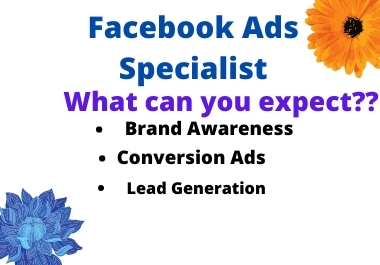 I will set up a Facebook ads campaign and put your ads on top of everyone.