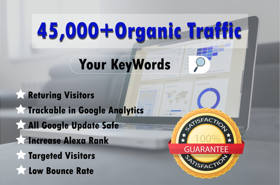 Drive targeted Adsense Safe Real Website traffic, daily visitors for One Month non stop