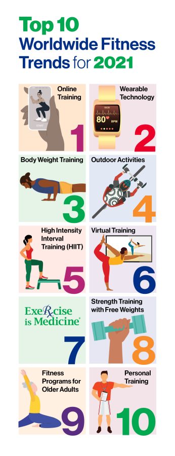 Professional Strong and Successful Training Program (1000-1250 words)