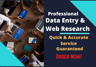 I will do accurate data entry, web research, copy-paste job by using Excel and MS Word