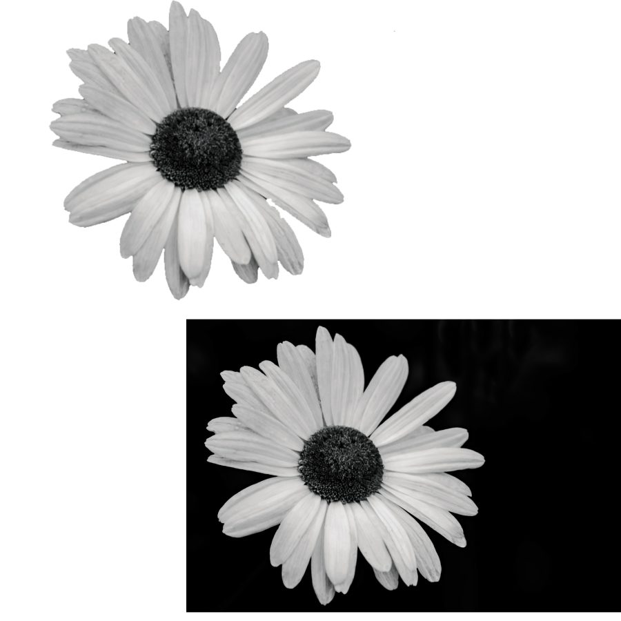 Background eraser, any picture.