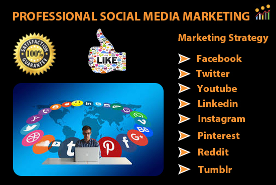 Boost Your Website, Facebook ad, Twitter ad and grow Business in a day