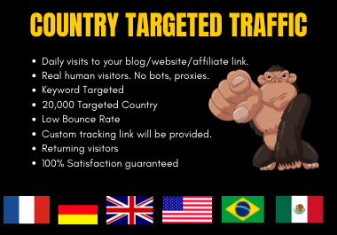 Country Targeted 20,000 Web Traffic For Sales 