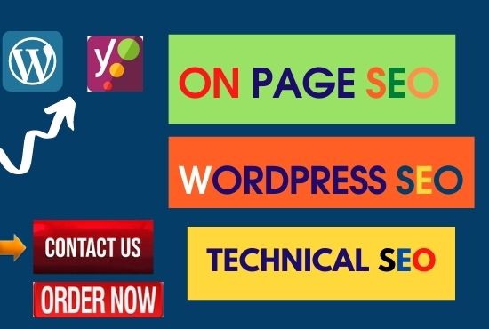 I will do onpage SEO and wordpress website ranking