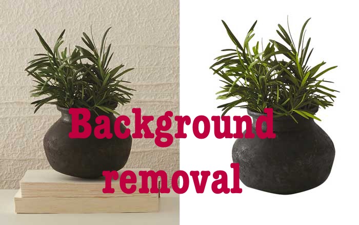 Background removal of preferred image you desired at express. All you need do is provide the image.