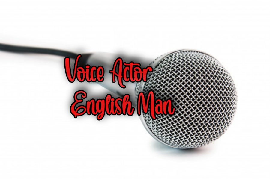 SpiffyNBoxes Brilliant Professional English AI