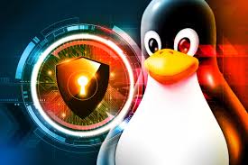 Wp shield is thieves stealing your software or eBooks.