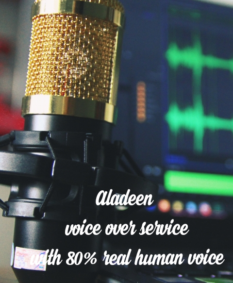 I will create a professional voice over for your videos , articles with 80%real human voice