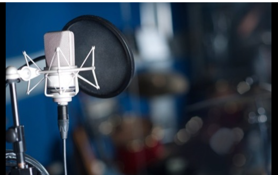 High quality voice overs in most languages