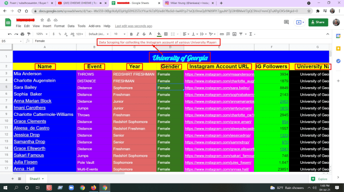 Virtual Assistant for Data Entry, Scraping, Mining and copy paste work