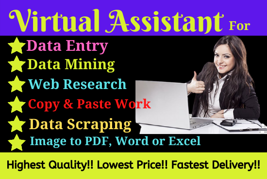 Virtual Assistant for Data Entry, Scraping, Mining and copy paste work