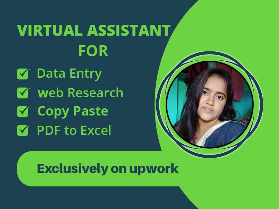 Your virtual assistant for data entry, web research, copy paste and PDF to excel