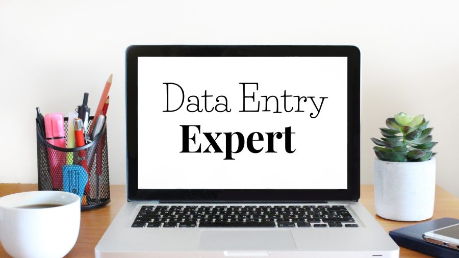 I will do data entry, copy-paste, web research Microsoft and excel data entry.