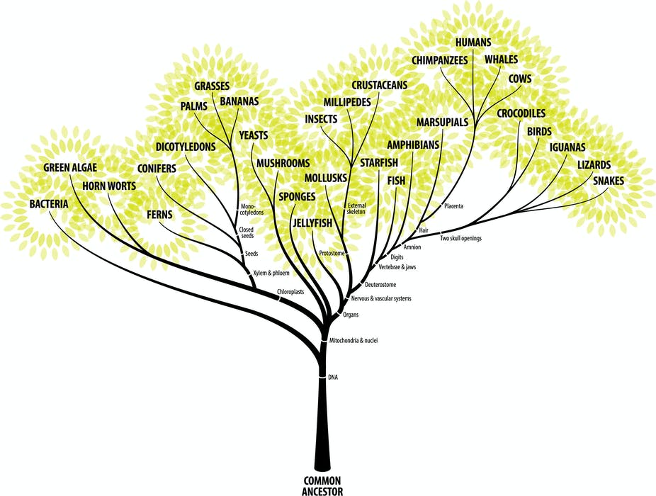 Get provided with up to 12 Biology Related books in no time 