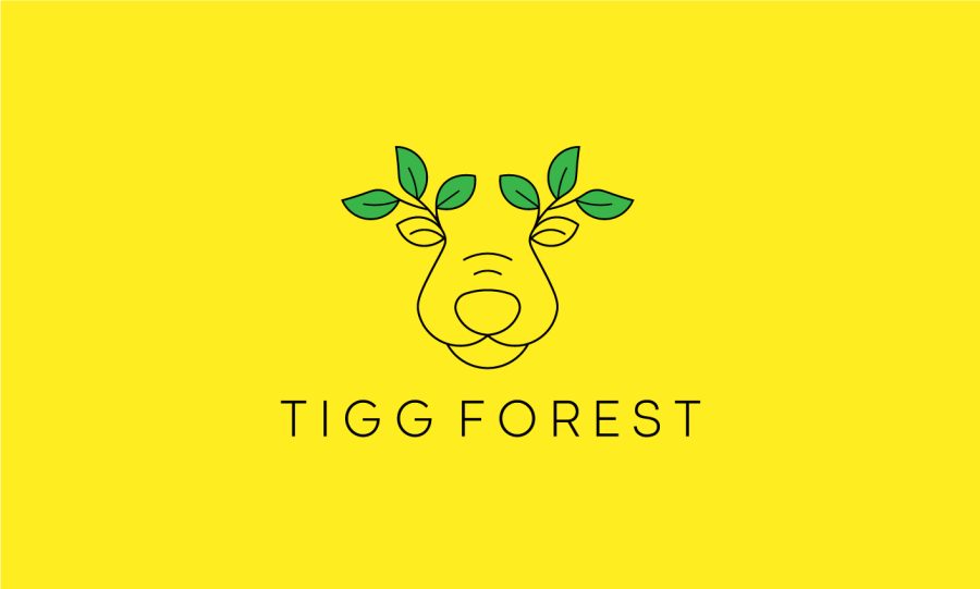 design a premium minimalist line art logo