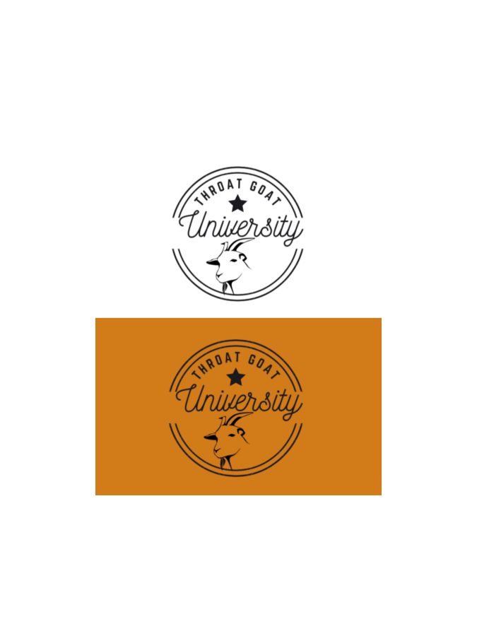 I am professional graphic and logo designer I am here for long term work relationship so will give