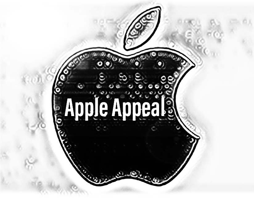 I am professional graphic and logo designer I am here for long term work relationship so will give