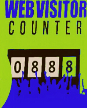 Website Statistician software- "count your web visitors of each pages"....with fully resale rights 