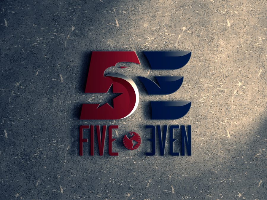 I will do flat minimalist and 3d business logo design