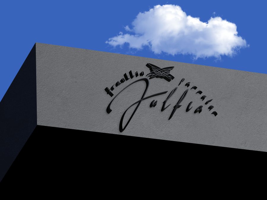 i will design a professional signature handwritten logo for your business