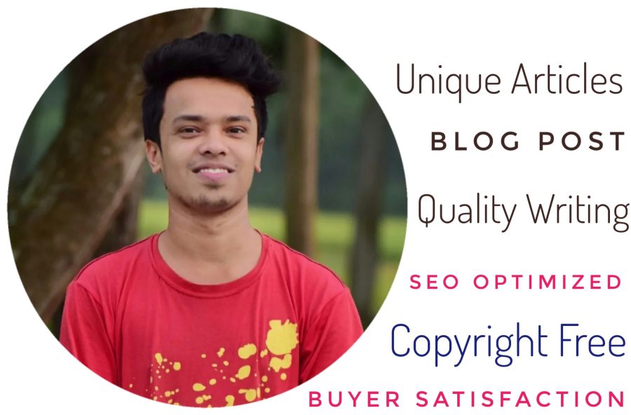 I will compose SEO articles and blog entries for you on any theme