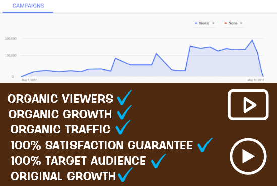 I will do organic youtube video promotion to boost your organic vistiors
