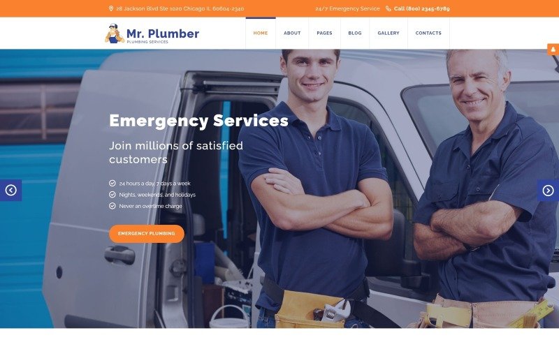 You will get Professional and Responsive WordPress Website