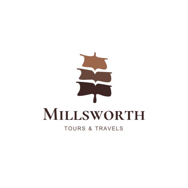 I will create professional logo design in 4 hours 