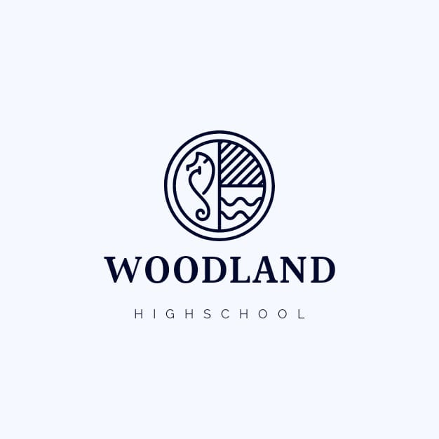 I will create professional logo design in 4 hours 