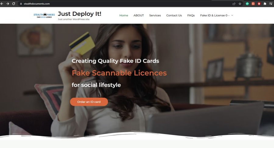 I Will Copy, Redesign or Duplicate Wordpress Website landing page or Blog For You